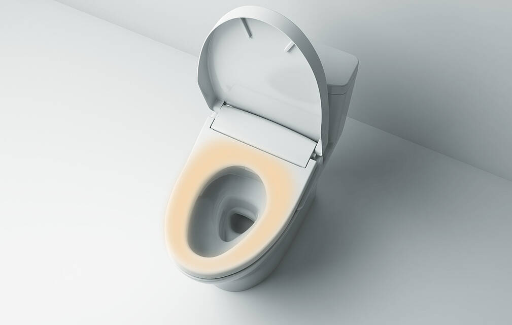 WASHLET® RG Lite со скрытым подключением TCF34170GEU